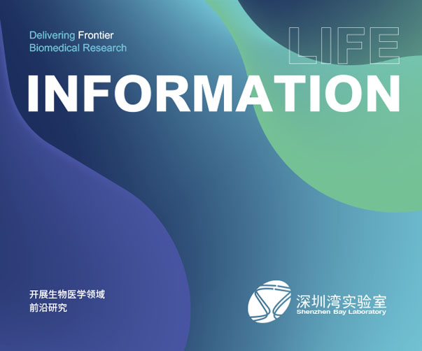 巨頭重塑識(shí)別力——亞馬遜、沃爾瑪與Adobe的商標(biāo)戰(zhàn)略